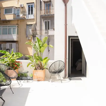 Civico 50 بيت ضيافة